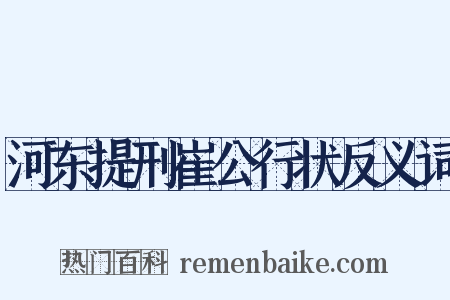 河东提刑崔公行状反义词是什么意思的图片